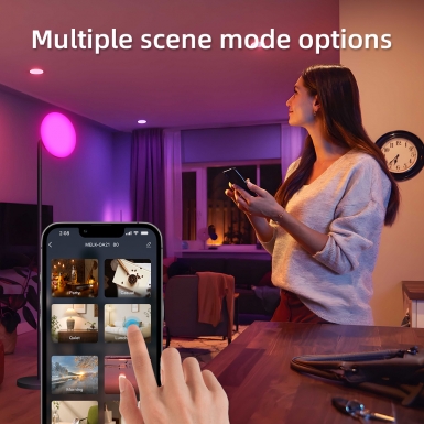 LED室内灯 - HCP038 朝天落地灯